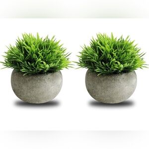 Mini Artificial Plants
